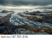 Aerial view of oil slick spreading across the ocean, environmental devastation. Вид с воздуха на нефтяное пятно, распространяющееся по океану, экологические разрушения. Стоковое AI-изображение, AI-художник Katsiaryna Repich / Фотобанк Лори