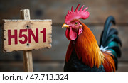 Chicken portrait with h5n1 virus sign on rustic wood. Стоковое AI-изображение, AI-художник Андрей Бакусов / Фотобанк Лори