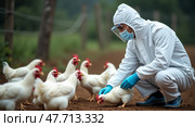 Biosecurity in poultry farming a careful inspection. Стоковое AI-изображение, AI-художник Андрей Бакусов / Фотобанк Лори