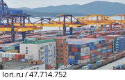 Vladivostok, Russia - August 9, 2021: Cargo terminal at russian port Vladivostok. Редакционное видео, видеограф Mikhail Davidovich / Фотобанк Лори