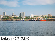 Cargo vessels docked near zolotoy rog bridge, overlooking vladivostok's urban landscape and maritime infrastructure. Стоковое фото, фотограф Mikhail Davidovich / Фотобанк Лори