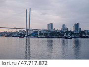 View of the zolotoy rog bay with the cable stayed bridge and modern buildings in vladivostok, russia. Стоковое фото, фотограф Mikhail Davidovich / Фотобанк Лори