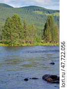 Река Башкаус на Алтае. Altai river Bashkaus. Large larch trees are on the bank of the river. Стоковое фото, фотограф Сергей Пристяжнюк (Serg Zastavkin) / Фотобанк Лори
