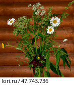 A bouquet of flowering garden weeds - daisies, dandelions, snyt and grasses in a transparent glass vase against a wooden wall made of logs. Букет из огородный сорняков. Полевые цветы. Стоковое фото, фотограф Ольга Солопова / Фотобанк Лори