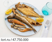 On white background, there is plate with fried fish of different varieties. Стоковое фото, фотограф Яков Филимонов / Фотобанк Лори