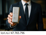 Слиток. Стоковое AI-изображение, AI-художник Дина Етова / Фотобанк Лори