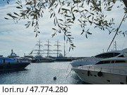 Monaco, Monaco Ville, Monte-Carlo, 2015.09.04: Four-masted barque ship, the Russian training ship is in the port of Hercules in Monaco, in the program of the Year of Russia in Monaco, sunny day. Редакционное фото, фотограф Vladimir Drozdin / Фотобанк Лори
