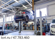 Автомобиль на СТО официального дилера Nissan. Внедорожник поднят в сервисный центр для проведения технического обслуживания. Редакционное фото, фотограф FotograFF / Фотобанк Лори