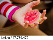 A child's hand squeezes a bright anti-stress toy Taba Paw in the shape of a watermelon. Стоковое фото, фотограф Мария Мороз / Фотобанк Лори