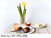Натюрморт со свежей овощной спаржей и пасхальным яйцом. Завтрак на Светлой седмице. Стоковое фото, фотограф Владимир Литвинов / Фотобанк Лори