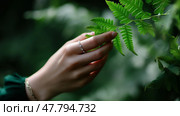 Delicate hand reaching for vibrant green ferns in a serene, lush forest setting during sunny daylight. Стоковое AI-изображение, AI-художник Сергей Толмачёв / Фотобанк Лори