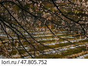 Загородный водный пейзаж. Редакционное фото, фотограф Елена Палагута / Фотобанк Лори