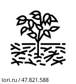 mulching urban gardening line icon vector illustration. Стоковая иллюстрация, иллюстратор Vectorwin / Фотобанк Лори