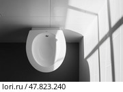 Toilet top view. Flush clean toilet in modern bathroom. White ceramic toilet bowl near light grey wall with sunlight. From above. Restroom furniture. Personal hygiene. Interior Design. Architecture. Стоковое AI-изображение, AI-художник Марина Демидюк / Фотобанк Лори