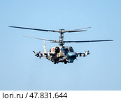 ZHUKOVSKY, RUSSIA - 25 July 2021: Demonstration of the Kamov Ka-52 Alligator attack helicopter of the Russian Air Force at MAKS-2021, Russia. Стоковое фото, фотограф Фотограф / Фотобанк Лори
