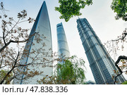 Shanghai, China - 1 April 2025: Low-angle view of Shanghai Tower, World Financial Center, and Jin Mao Tower against blue sky with tree leaves framing the composition. Редакционное фото, фотограф Татьяна Терехина / Фотобанк Лори