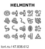 helminth worm parasite roundworm icons set vector. Стоковая иллюстрация, иллюстратор Vectorwin / Фотобанк Лори