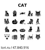 cat breeding genetics cattery icons set vector. Стоковая иллюстрация, иллюстратор Vectorwin / Фотобанк Лори