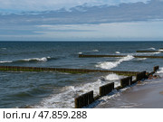 View of the Baltic Sea and wooden breakwaters of the city beach on a summer day, Svetlogorsk, Kaliningrad region, Russia. Стоковое фото, фотограф Ula Ulachka / Фотобанк Лори