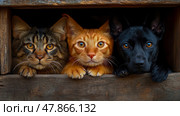 Three pets, a cat, and a dog, curiously peek through a wooden window, showcasing their friendship in a rustic environment. Стоковое AI-изображение, AI-художник Данила Большаков / Фотобанк Лори