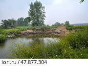 Сельский пейзаж. Заросшие берега реки Бегилы. Стоковое фото, фотограф Александр Тараканов / Фотобанк Лори