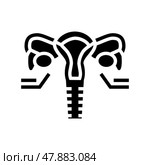 ovaries endocrinology glyph icon vector illustration. Стоковая иллюстрация, иллюстратор Vectorwin / Фотобанк Лори