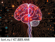 Человеческий мозг и алгоритм решения изобретательских задач. Стоковое AI-изображение, AI-художник Ольга Денис / Фотобанк Лори