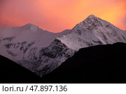 Вид на Гангапурну после заката. Гималаи (2012 год). Стоковое фото, фотограф Павел Степанов / Фотобанк Лори