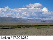 Yustyd River valley. Kosh-Agach intermountain valley in Gorny Altai Republic. Стоковое фото, фотограф Сергей Пристяжнюк (Serg Zastavkin) / Фотобанк Лори