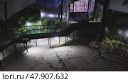 Fossilized dinosaur tracks in Georgia sataplia. Стоковое видео, видеограф German Zvyagin / Фотобанк Лори