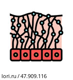 mesothelium health problem color icon vector illustration. Стоковая иллюстрация, иллюстратор Vectorwin / Фотобанк Лори