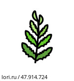 african water fern color icon vector illustration. Стоковая иллюстрация, иллюстратор Vectorwin / Фотобанк Лори