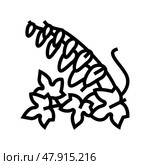 firecracker vine line icon vector illustration. Стоковая иллюстрация, иллюстратор Vectorwin / Фотобанк Лори