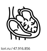 dilated cardiomyopathy cardiology disease line icon vector illustration. Стоковая иллюстрация, иллюстратор Vectorwin / Фотобанк Лори