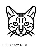 bengal cat cute pet line icon vector illustration. Стоковая иллюстрация, иллюстратор Vectorwin / Фотобанк Лори