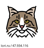 norwegian forest cat cute pet color icon vector illustration. Стоковая иллюстрация, иллюстратор Vectorwin / Фотобанк Лори