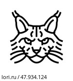 maine coon cat cute pet line icon vector illustration. Стоковая иллюстрация, иллюстратор Vectorwin / Фотобанк Лори