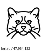 ragdoll cat cute pet line icon vector illustration. Стоковая иллюстрация, иллюстратор Vectorwin / Фотобанк Лори
