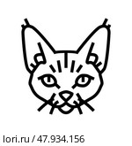 devon rex cat cute pet line icon vector illustration. Стоковая иллюстрация, иллюстратор Vectorwin / Фотобанк Лори