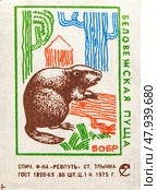 Бобр. Серия: Беловежская пуща. Спичечные этикетки СССР. 1975. Редакционное фото, фотограф Сергей Афанасьев / Фотобанк Лори