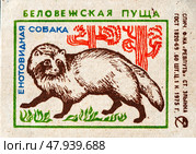 Енотовидная собака. Серия: Беловежская пуща. Спичечные этикетки СССР. 1975. Редакционное фото, фотограф Сергей Афанасьев / Фотобанк Лори