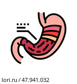 stomach anatomy gastroenterologist color icon vector illustration. Стоковая иллюстрация, иллюстратор Vectorwin / Фотобанк Лори