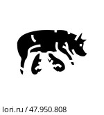 pig piglets farm glyph icon vector illustration. Стоковая иллюстрация, иллюстратор Vectorwin / Фотобанк Лори
