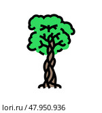 strangler fig jungle amazon color icon vector illustration. Стоковая иллюстрация, иллюстратор Vectorwin / Фотобанк Лори