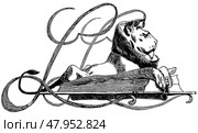 Black and white bookplate design by Max Klinger, Leipzig, vintage artistic book illustration. Publication of the "Meyers encyclopedia", Vol. 6, Leipzig, Germany, 1910. Стоковая иллюстрация, иллюстратор Sergey Kohl / Фотобанк Лори