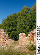 Руины Церкви Спаса Нерукотворного Образа (1780 – 1790 г.) в деревне Анхимово, Вытегорский район, Россия. (2024 год). Стоковое фото, фотограф Головкова Елена / Фотобанк Лори