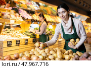 Female employee informs about arrival of ripe potato, advertises product. Стоковое фото, фотограф Яков Филимонов / Фотобанк Лори