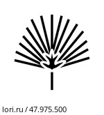 chamaerops tropical leaf glyph icon vector illustration. Стоковая иллюстрация, иллюстратор Vectorwin / Фотобанк Лори