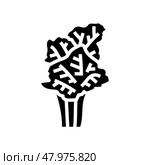 fishtail palm tree glyph icon vector illustration. Стоковая иллюстрация, иллюстратор Vectorwin / Фотобанк Лори