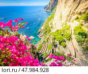 Capri island, Italy. Стоковое фото, фотограф Anastasy Yarmolovich / Фотобанк Лори